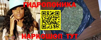 Альфа ПВП Комсомольск-на-Амуре