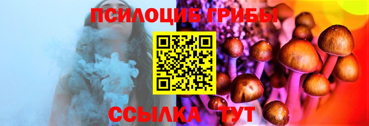 Камень-на-Оби  Псилоцибиновые грибы Psilocybine cubensis  Вход с VPN 